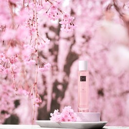 The Ritual of Sakura - Körper- und Haarnebel