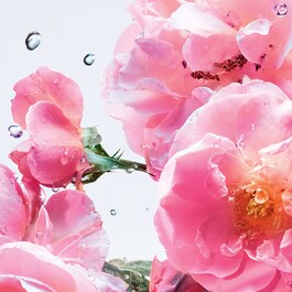 Miss Dior Rose N'Roses - Eau de Toilette Roller-Pearl - Roll-on-Reiseformat