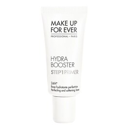Step 1 Primer - Hydra Booster