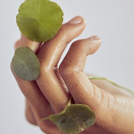 Centella Cleansing Oil - Makeup removing oil mit soothing Centella Asiatica