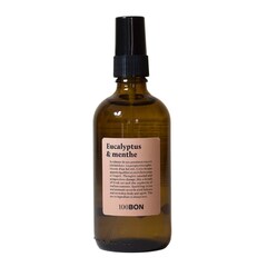 Eukalyptus und Minze – Spray für die Wohnung, 100BON