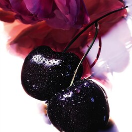 La Petite Robe Noire - Eau de Parfum
