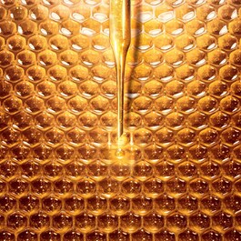 Abeille Royale Rich Day Cream