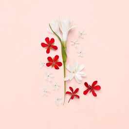 Bloom - Eau de Toilette