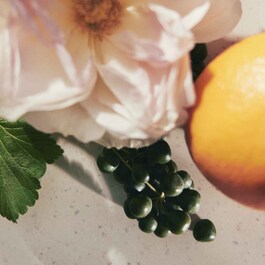 Rose Tangerine - Eau de Toilette