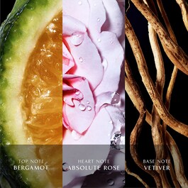 Cool Water Reborn Women - Eau de Toilette