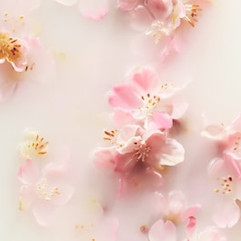 The Ritual of Sakura - Duftstäbchen