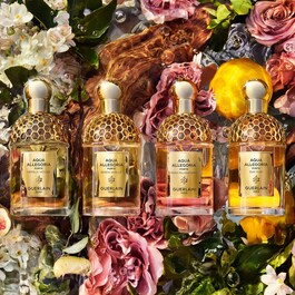 Aqua Allegoria Forte Bosca Vanilla 