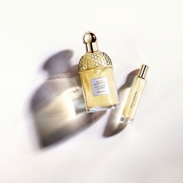 Aqua Allegoria Bergamote Calabria - Eau de Toilette Mini