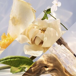 Omnia Crystalline EdP