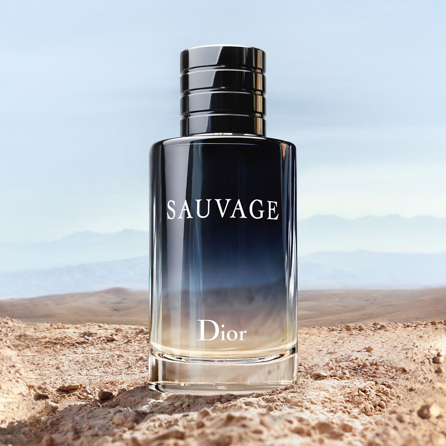 Sauvage cologne sephora top