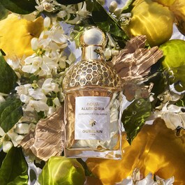 Aqua Allegoria - Bergamote Calabria Eau de Toilette 