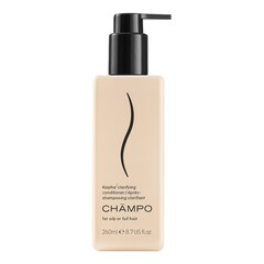 Kapha balancing Conditioner - Klärender Conditioner, CHAMPO