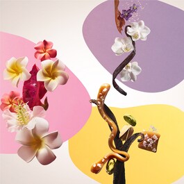 Rio Body Trio - Körpercreme-Set