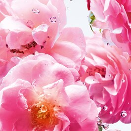 Miss Dior Rose N'Roses - Eau de Toilette
