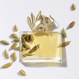 Jungle Eau de Parfum