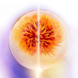 Vital Perfection - Straffende Tagescreme SPF30 für strahlende Haut