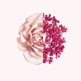 Irresistible - Eau de Toilette Fraiche