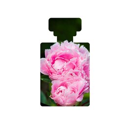 Ananda Antiox-Rich Toner