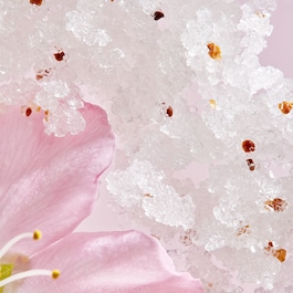 The Ritual of Sakura Body Scrub