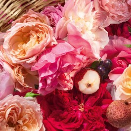Aqua Allegoria Rosa Rossa Harvest - Eau de Toilette