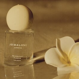 Frangipani - Cologne