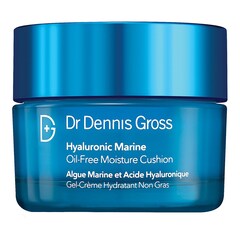 Hyaluronic Marine Oil-Free Moisture Cushion, DR DENNIS GROSS