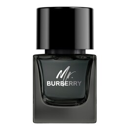 Mr. Burberry Eau de Parfum