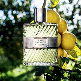 Eau Sauvage – Eau de Toilette für Herren – Frische & sonnige Noten