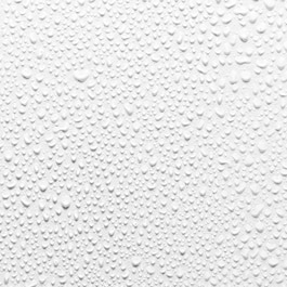 Rose Instant Hydration Mist - Feuchtigkeits- und Fixiernebel mit Rosen