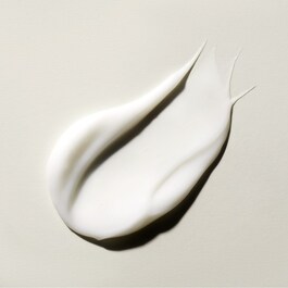 The Ritual of Ayurveda Conditioner