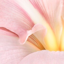 Jil Sander Sunlight Eau de Lumiére Eau de Parfum
