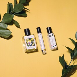 Blackberry Lily – Eau de Parfum Roll-on