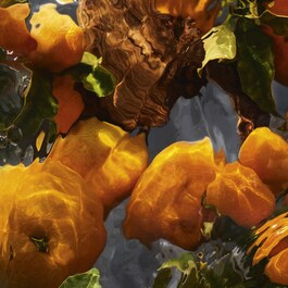 Aqua Allegoria Mandarine Basilic Forte - Eau de Parfum