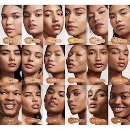 Pro Filt'r Soft Matte Powder Foundation