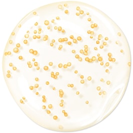 Abeille Royale Youth Watery Oil - Serum 