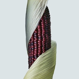 Botanical Repair ™ Intensive Stärkende - Haarmaske Reichhaltig