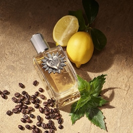 Devotion for Men - Eau de parfum