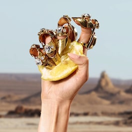 Q By Dolce & Gabbana Eau de Parfum mit fruchtigen, blumigen und holzigen Noten