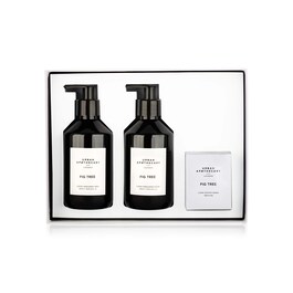Fig Tree - Home Collection