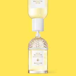 Aqua Allegoria Bergamote Calabria - Eau de Toilette