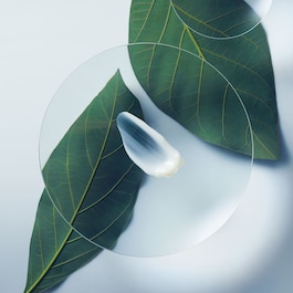 Botanical Repair ™ - Stärkender Conditioner