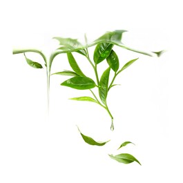 UFO™ Mask Green Tea - Gesichtsmaske