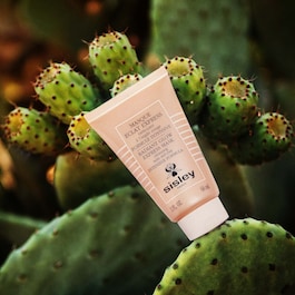 Eclat Express Maske