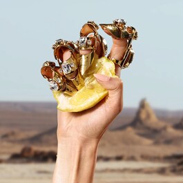 Q By Dolce & Gabbana Eau de Parfum mit fruchtigen, blumigen und holzigen Noten
