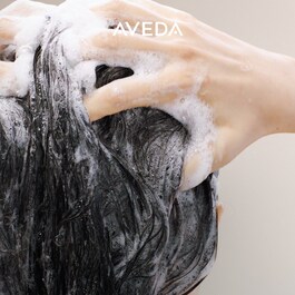 Scalp Solutions™ - Ausgleichendes Shampoo