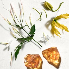 Sun - Eau de Toilette
