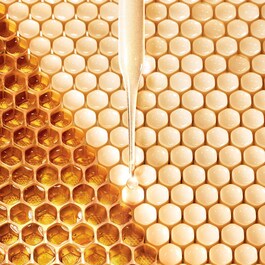 Abeille Royale Fortifying Lotion - Stärkende Gesichtslotion