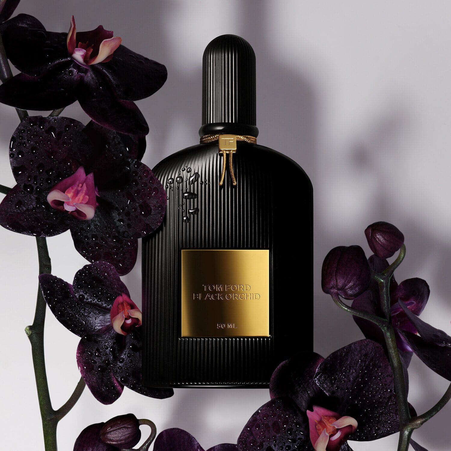 Black orchid men's perfume discount