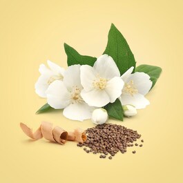 Beauty Eau de Parfum